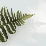 Eco-Cleaning-1